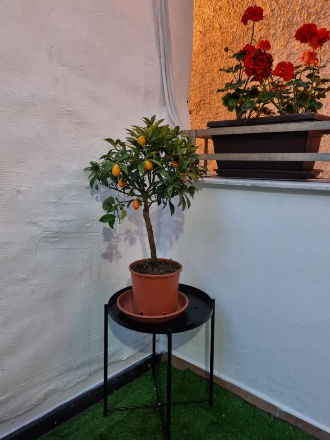 Giardino Moreno Palermo Exterior photo